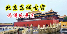 狂抽骚湿内射中国北京-东城古宫旅游风景区